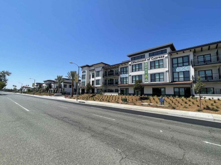 time-flies-in-cypress-ca-srm-development